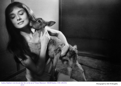 翠谷香魂剧照的剧照