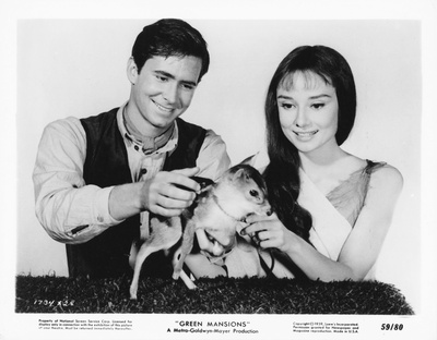 翠谷香魂剧照的剧照