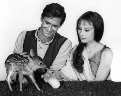 翠谷香魂剧照的剧照