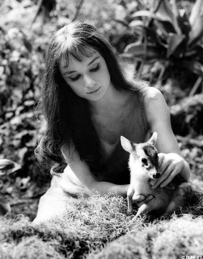 翠谷香魂剧照的剧照