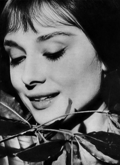 翠谷香魂剧照的剧照