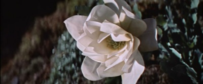 翠谷香魂剧照的剧照