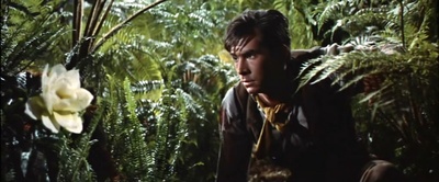 翠谷香魂剧照的剧照