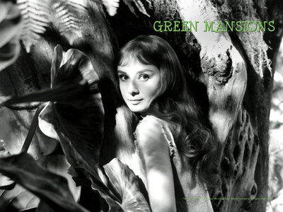 翠谷香魂剧照的剧照