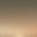 贫民窟的百万富翁剧照