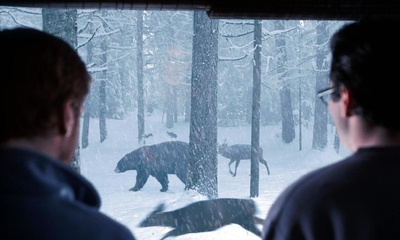 捕梦网剧照的剧照