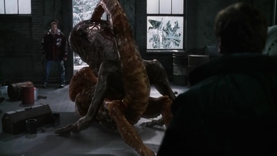 捕梦网剧照的剧照