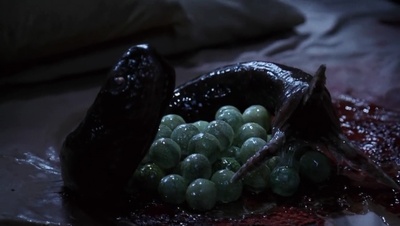 捕梦网剧照的剧照