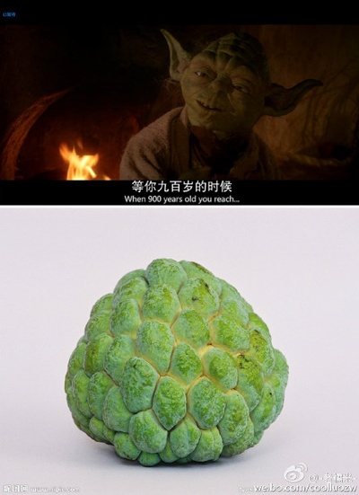 星球大战3：绝地归来剧照的剧照