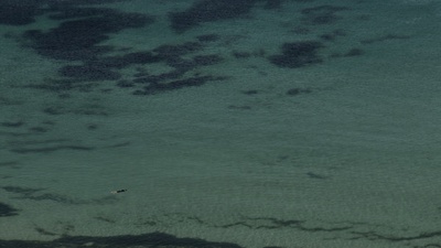 死亡海岸剧照的剧照