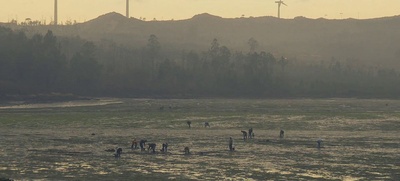 死亡海岸剧照的剧照