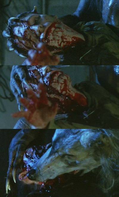 闪灵战士剧照的剧照