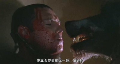 闪灵战士剧照的剧照