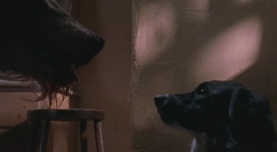 闪灵战士剧照的剧照