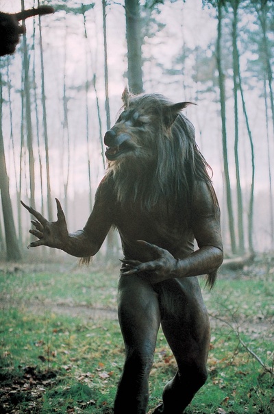 闪灵战士剧照的剧照