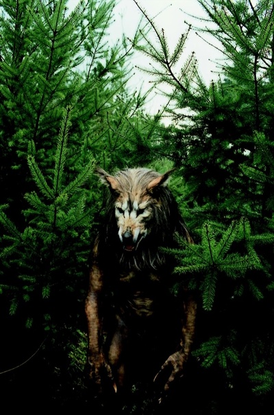 闪灵战士剧照的剧照