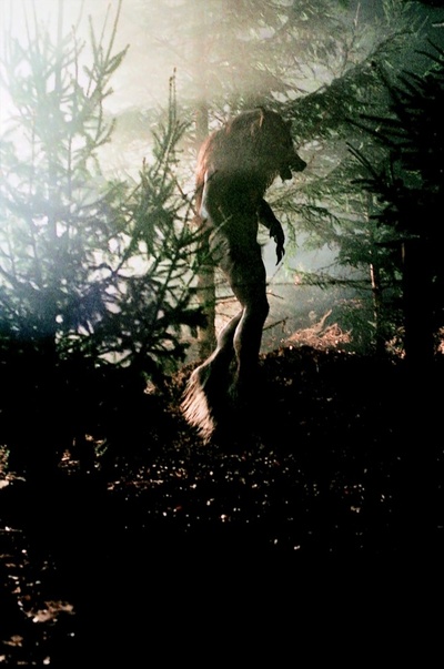 闪灵战士剧照的剧照