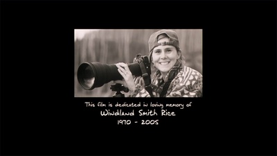 附注：我爱你剧照的剧照