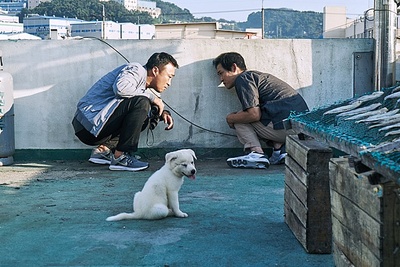 保安官剧照的剧照