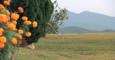 富贵逼人剧照的剧照