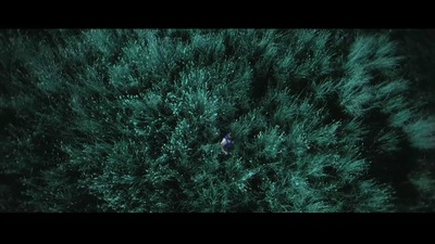 龙虎门剧照的剧照