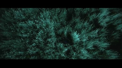 龙虎门剧照的剧照