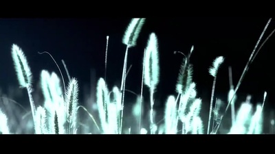 龙虎门剧照的剧照