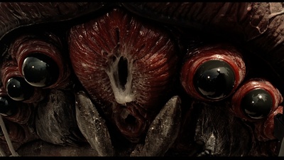 星河战队剧照的剧照