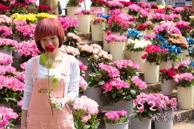 52赫兹，我爱你剧照的剧照