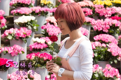 52赫兹，我爱你剧照的剧照