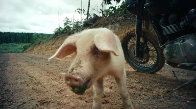 大卫·贝克汉姆：探索未知之境剧照的剧照