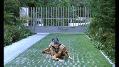 情逢敌手剧照的剧照