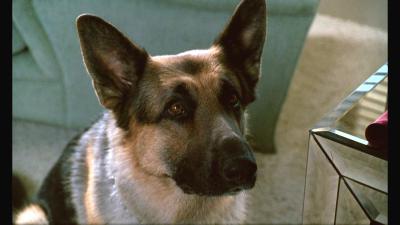 情逢敌手剧照的剧照