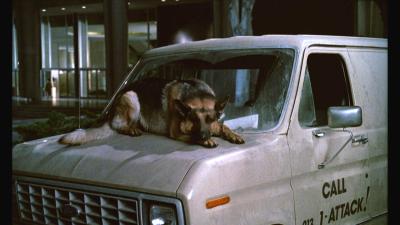 情逢敌手剧照的剧照