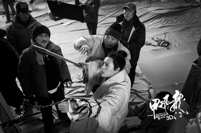 龙门飞甲纪录片剧照的剧照