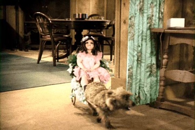 亮眼睛剧照的剧照