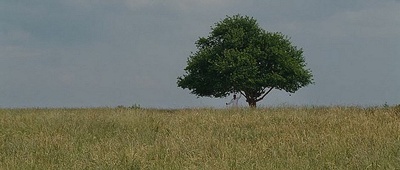 冒牌天神2剧照的剧照