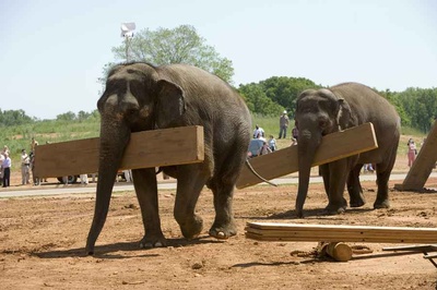 冒牌天神2剧照的剧照