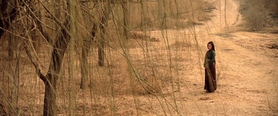 花木兰剧照的剧照