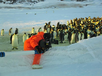 帝企鹅日记剧照的剧照