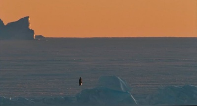 帝企鹅日记剧照的剧照