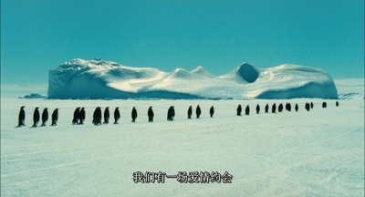 帝企鹅日记剧照的剧照