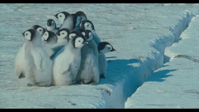 帝企鹅日记剧照的剧照