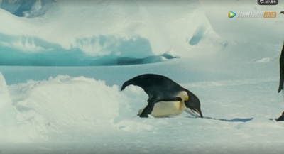 帝企鹅日记剧照的剧照
