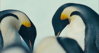 帝企鹅日记剧照的剧照