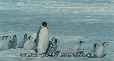 帝企鹅日记剧照的剧照