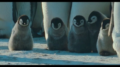 帝企鹅日记剧照的剧照