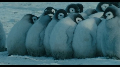 帝企鹅日记剧照的剧照