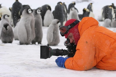 帝企鹅日记剧照的剧照