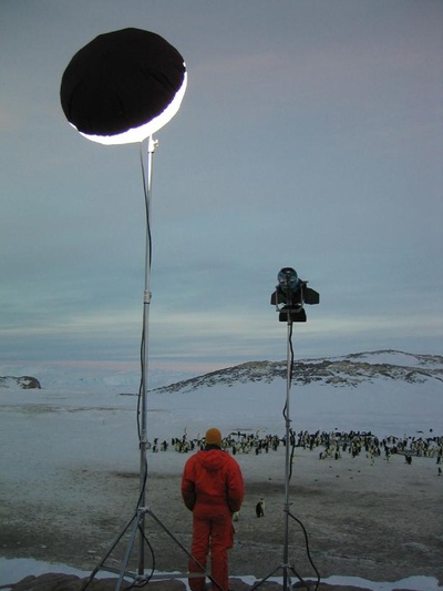 帝企鹅日记剧照的剧照